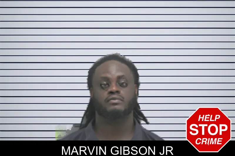 Marvin Gibson Jr mugshot