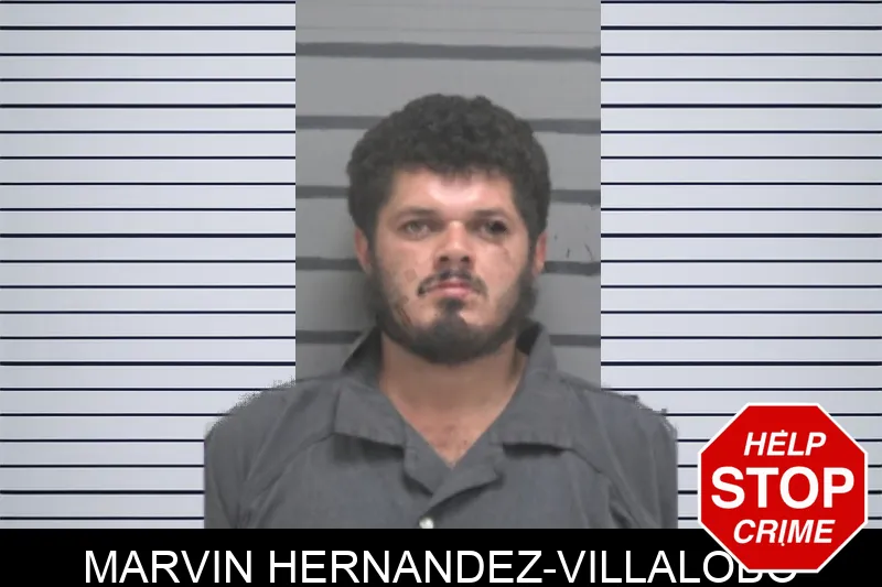 Marvin Hernandez-Villalobo mugshot