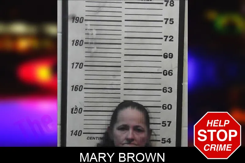 Mary Brown mugshot – Meriwether County , Georgia Mary Brown mugshot