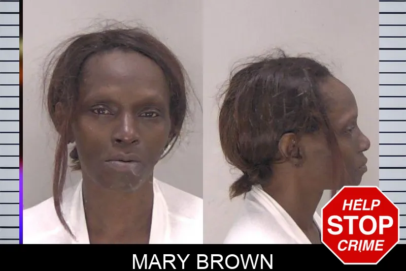 Mary Brown mugshot