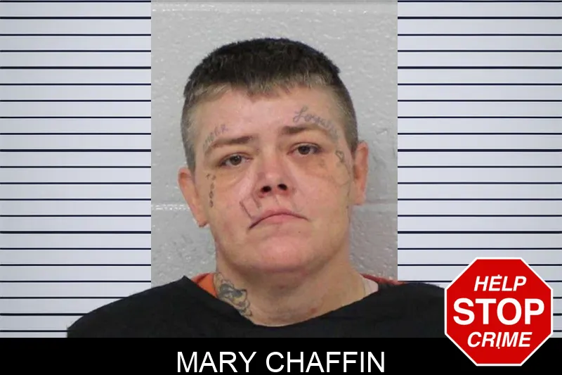 Mary Chaffin mugshot