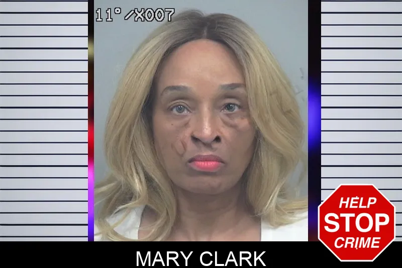 Mary Clark mugshot – Gwinnett County , Georgia Mary Clark mugshot