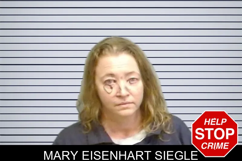Mary Eisenhart Siegle mugshot – Fulton County , Georgia Mary Eisenhart Siegle mugshot
