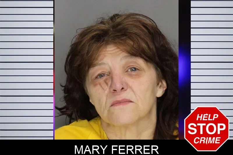 Mary Ferrer mugshot
