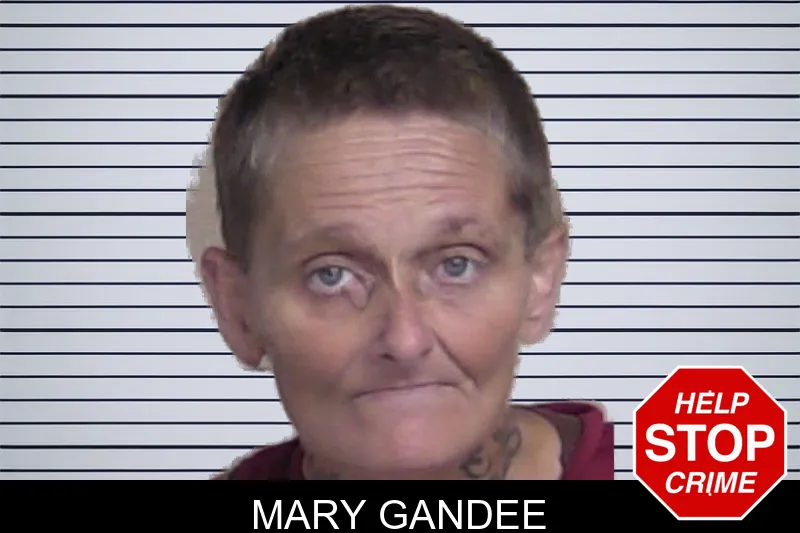 Mary Gandee mugshot