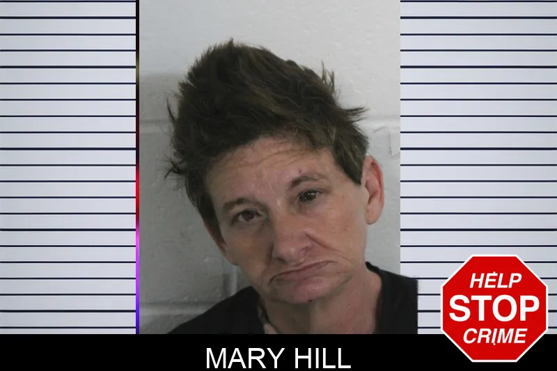 Mary Hill mugshot