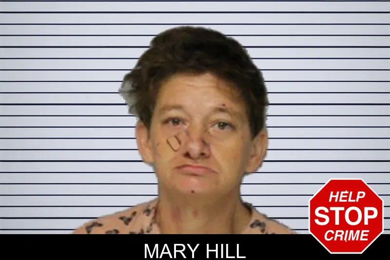 Mary Hill mugshot