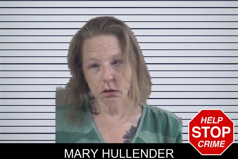 Mary Hullender mugshot – Whitfield County , Georgia Mary Hullender mugshot