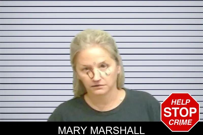 Mary Marshall mugshot – Fulton County , Georgia Mary Marshall mugshot