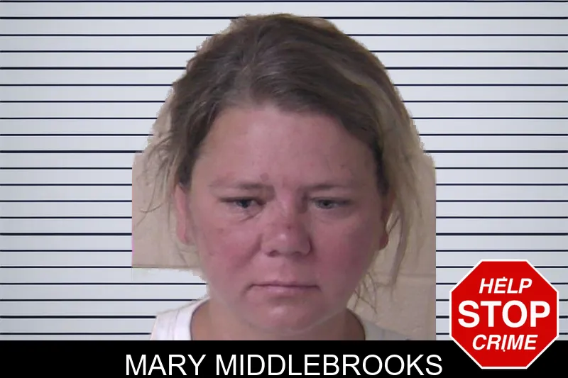 Mary Middlebrooks mugshot