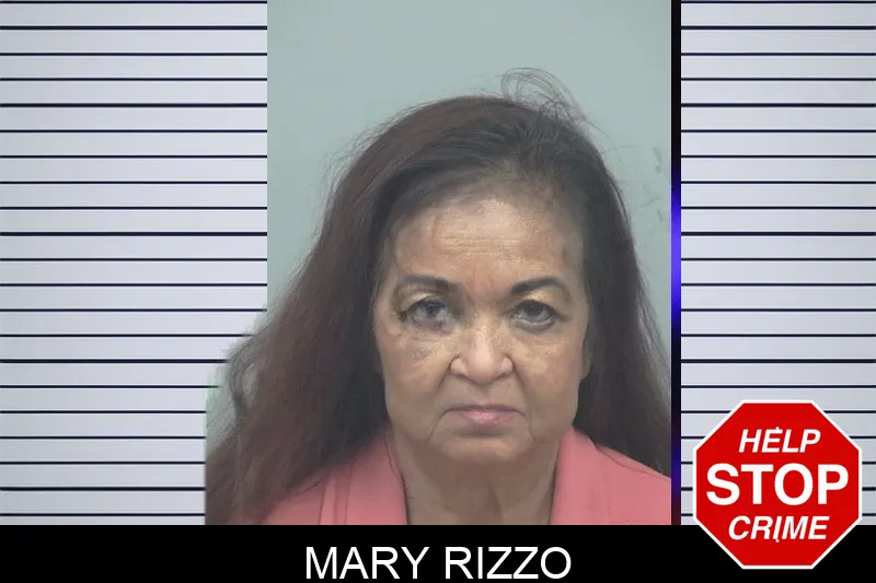 Mary Rizzo mugshot – Gwinnett County , Georgia Mary Rizzo mugshot
