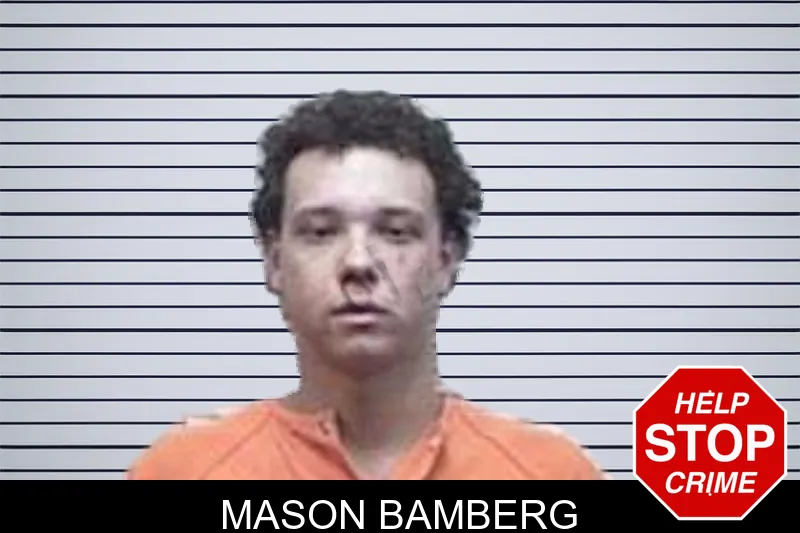 Mason Bamberg mugshot – Tattnall County , Georgia Mason Bamberg mugshot