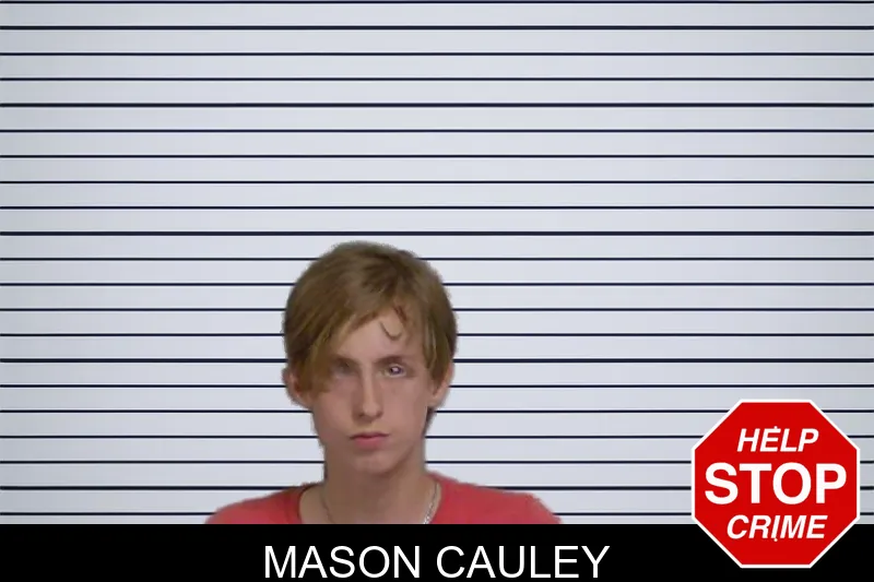 Mason Cauley mugshot