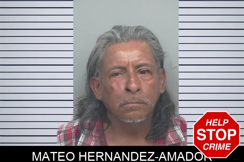 Mateo Hernandez-Amador mugshot – Gwinnett County , Georgia Mateo Hernandez-Amador mugshot