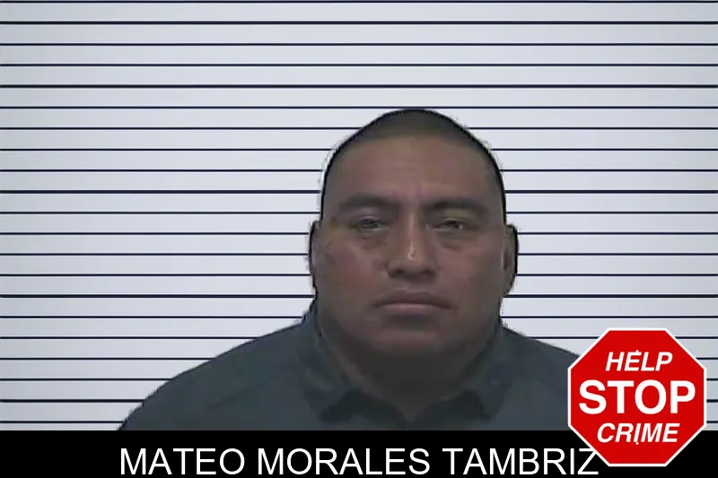 Mateo Morales Tambriz mugshot