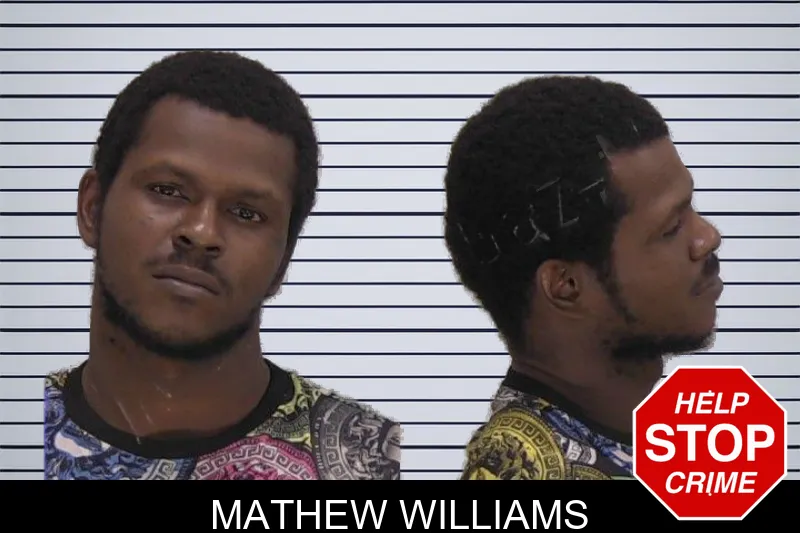 Mathew Williams mugshot