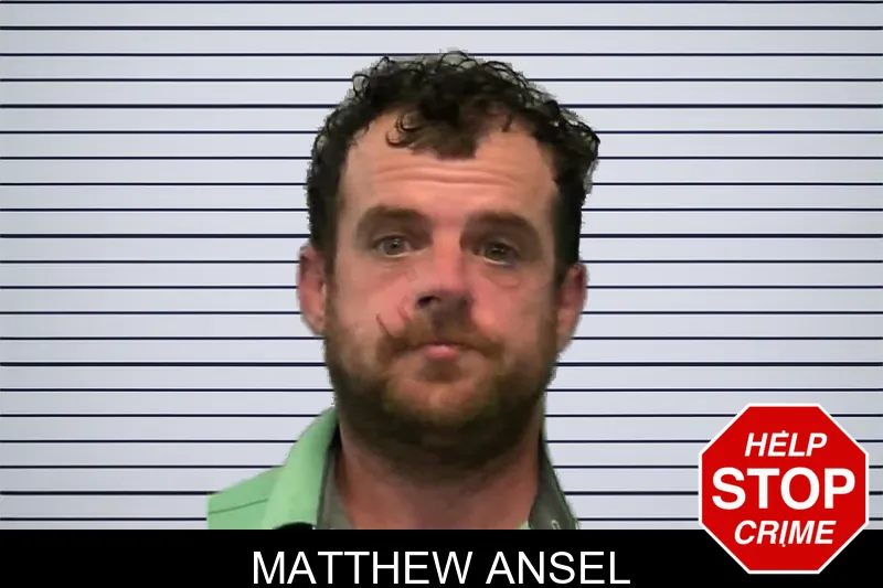 Matthew Ansel mugshot