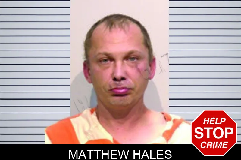 Matthew Hales mugshot