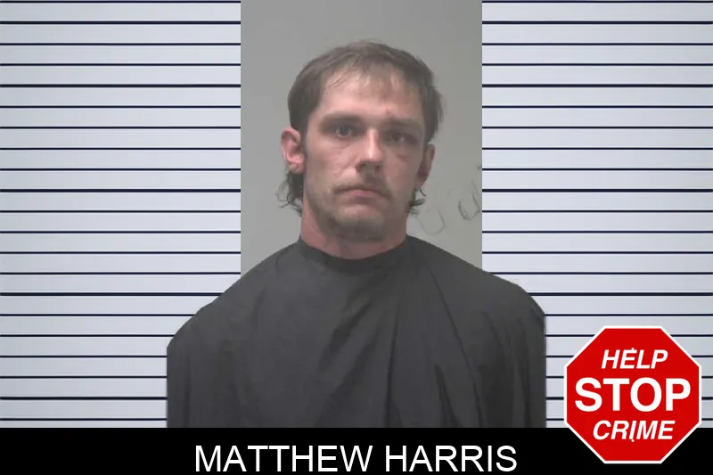 Matthew Harris mugshot