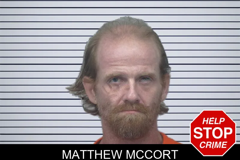 Matthew McCort mugshot – Gwinnett County , Georgia Matthew McCort mugshot