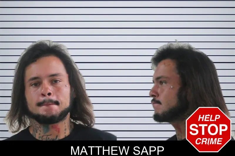 Matthew Sapp mugshot – Houston County , Georgia Matthew Sapp mugshot