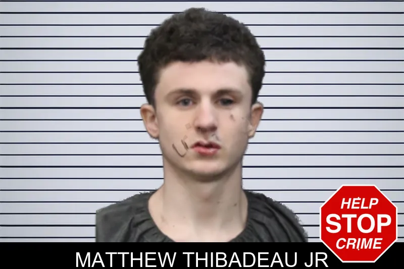 Matthew Thibadeau Jr mugshot