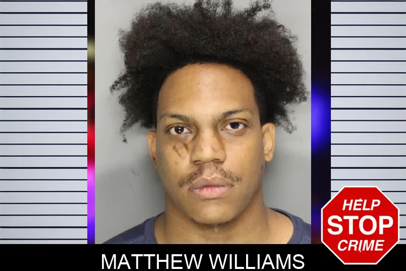 Matthew Williams mugshot – Cobb County , Georgia Matthew Williams mugshot