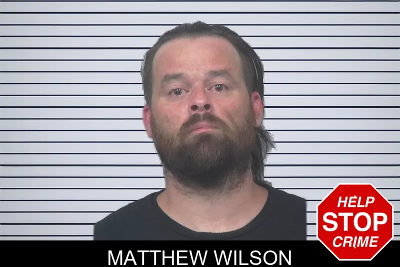 Matthew Wilson mugshot