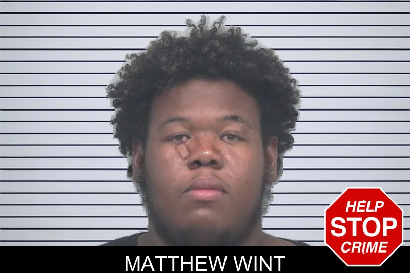 Matthew Wint mugshot – Gwinnett County , Georgia Matthew Wint mugshot