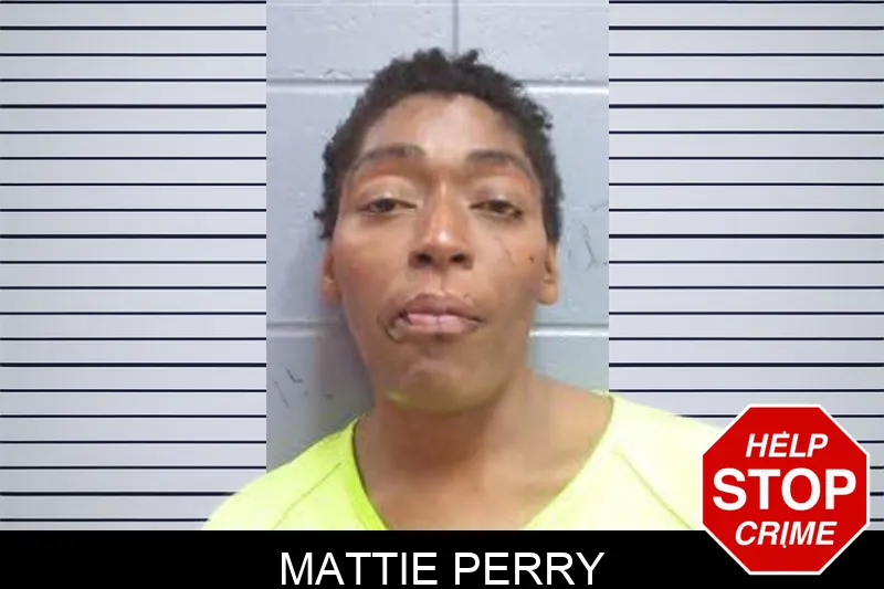 Mattie Perry mugshot – Lee County , Georgia Mattie Perry mugshot