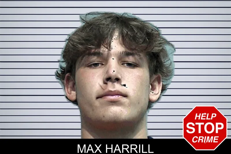 Max Harrill mugshot