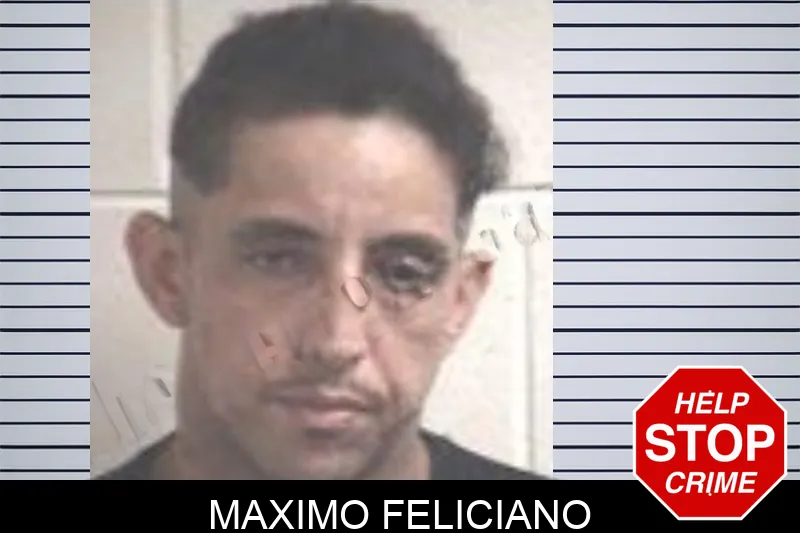Maximo Feliciano mugshot – Henry County , Georgia Maximo Feliciano mugshot