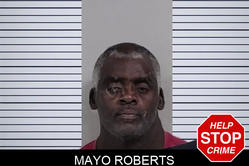 Mayo Roberts mugshot – Lowndes County , Georgia Mayo Roberts mugshot