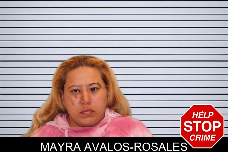Mayra Avalos-Rosales mugshot – Grady County , Georgia Mayra Avalos-Rosales mugshot