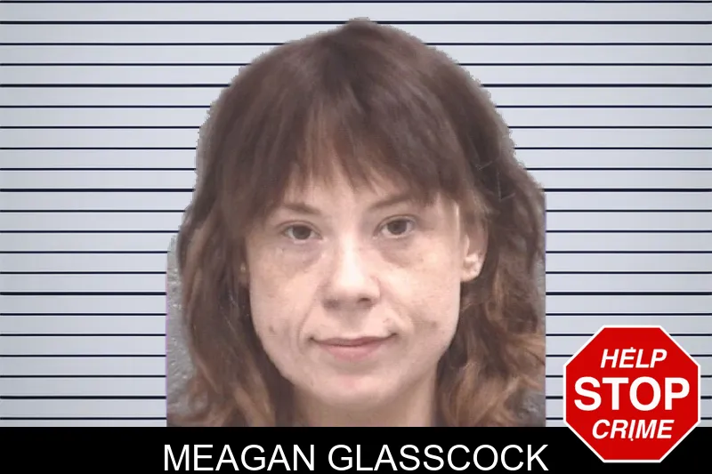 Meagan Glasscock mugshot