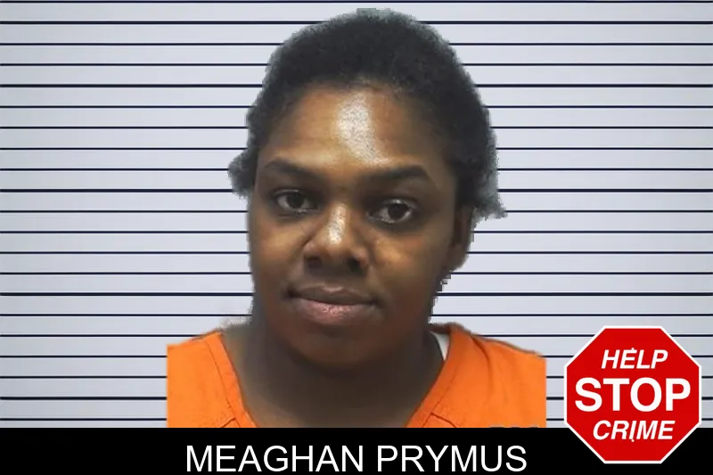 Meaghan Prymus mugshot – Cherokee County , Georgia Meaghan Prymus mugshot