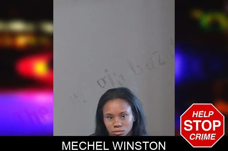 Mechel Winston mugshot