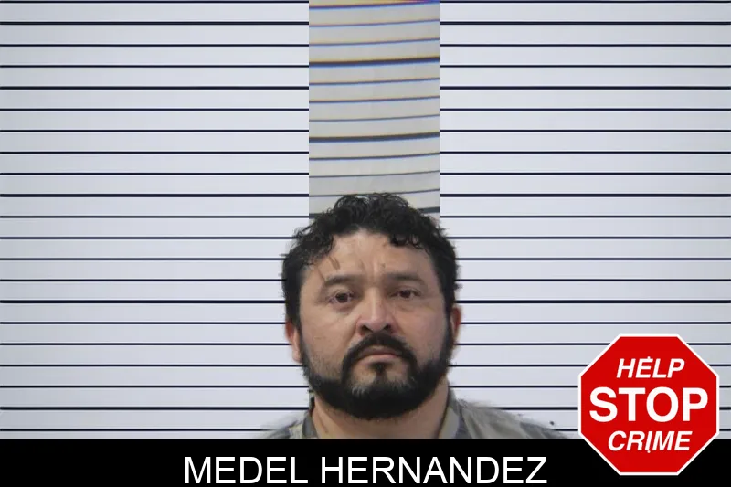 Medel Hernandez mugshot