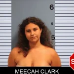 Meecah Clark mugshot