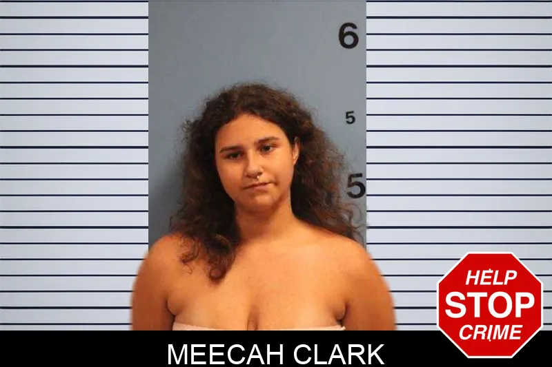 Meecah Clark mugshot