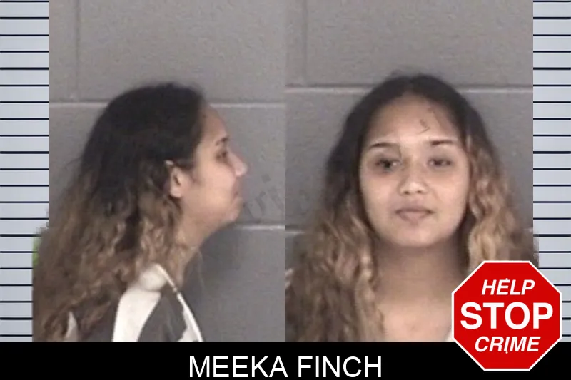 Meeka Finch mugshot