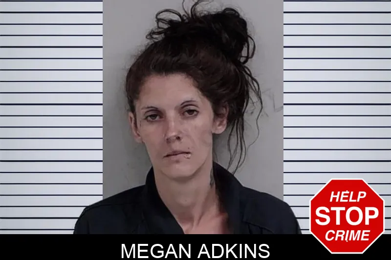 Megan Adkins mugshot