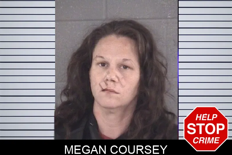 Megan Coursey mugshot