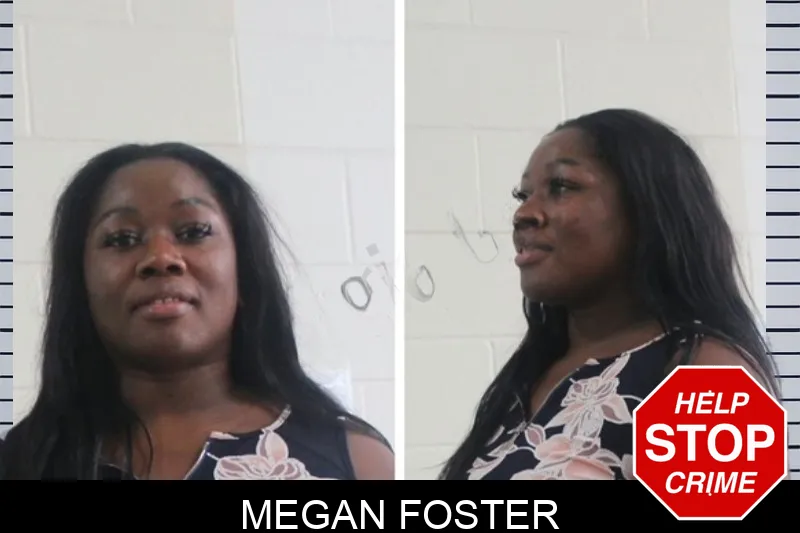 Megan Foster mugshot – Houston County , Georgia Megan Foster mugshot