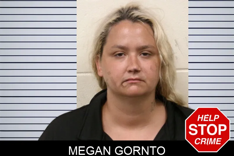 Megan Gornto mugshot