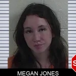 Megan Jones mugshot – Fannin County , Georgia Megan Jones mugshot