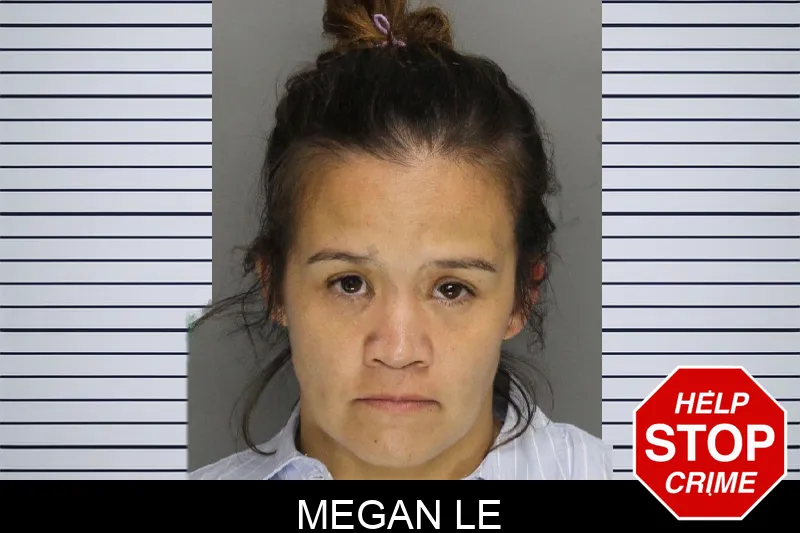 Megan Le mugshot