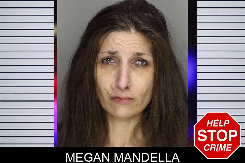 Megan Mandella mugshot