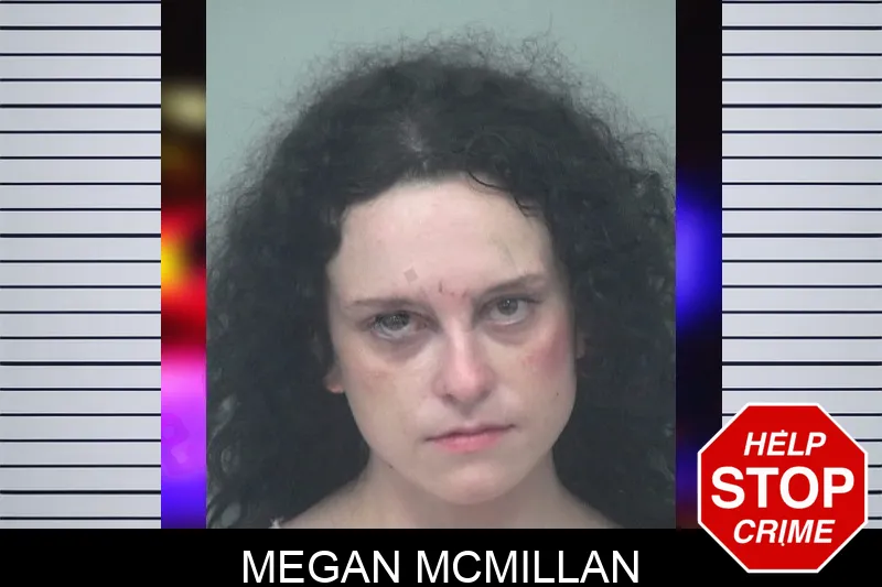 Megan McMillan mugshot