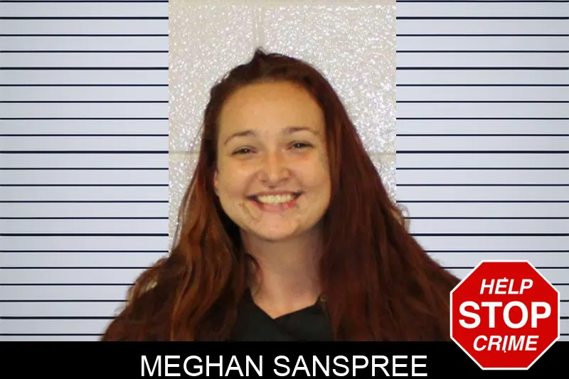 Meghan Sanspree mugshot – Carroll County , Georgia Meghan Sanspree mugshot